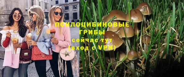 бошки Баксан