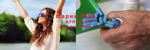 сатива Балабаново