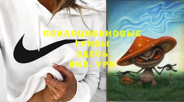 бошки Баксан