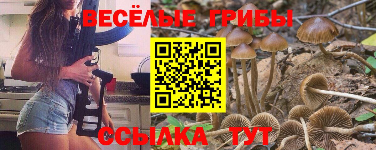 Галлюциногенные грибы MAGIC MUSHROOMS  Галлюциногенные грибы Magic Shrooms  Долгопрудный  Вход с VPN 